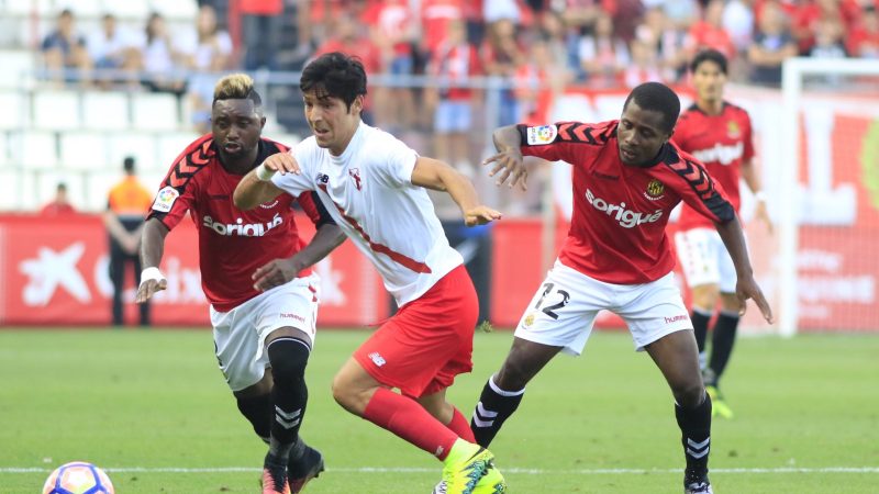 29420720973_3c298db868_o