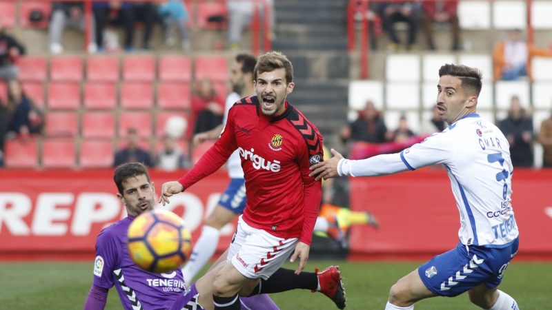 32189064055_bf4ff492b9_o