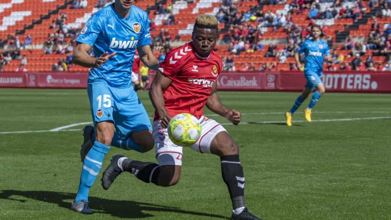 49604630916_389de14cbf_o