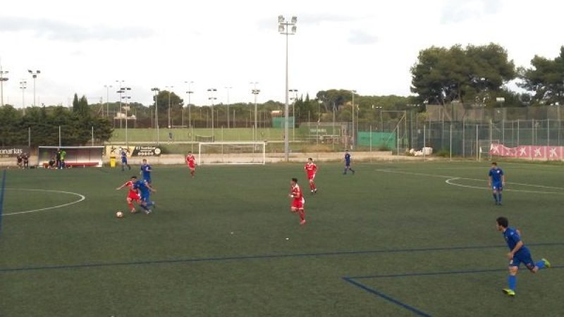 Foto: Portal Grana