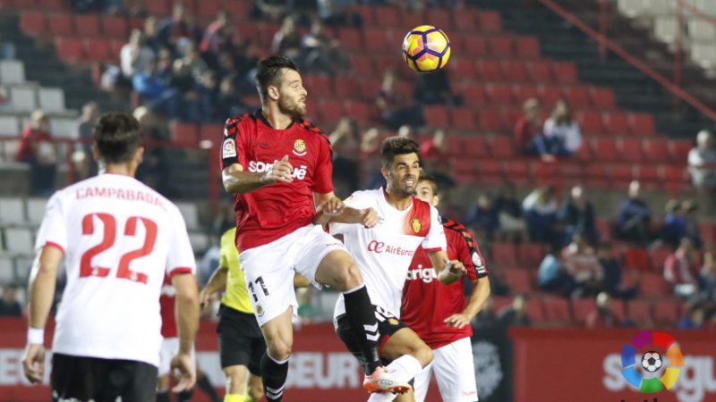 w_900x700_30182045img_0563